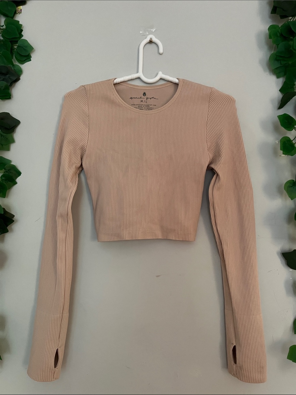 Spiritual Gangster Ribbed Long-Sleeve Crop Top in Beige